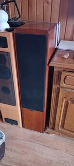 Canton ergo 81dc