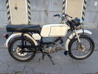 Jawa mustang