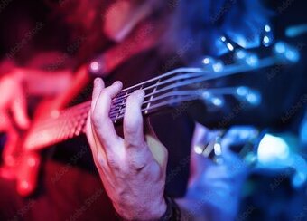Basový gitarista