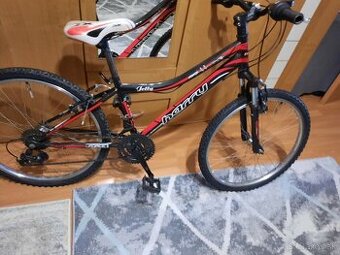 Horský bicykel.