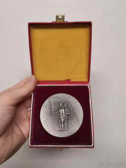 Medaila za zásluhy o rozvoj okresu Michalovce