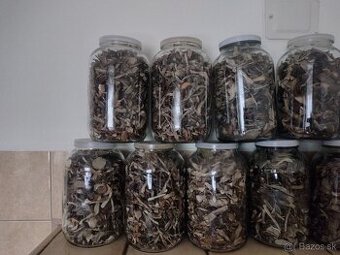 Predm susene huby-mix