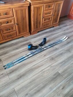 Predam bezkovy set,FISCHER,202 cm,NNN,c.43,supiny