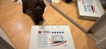 Klietka na steniatko 61 cm