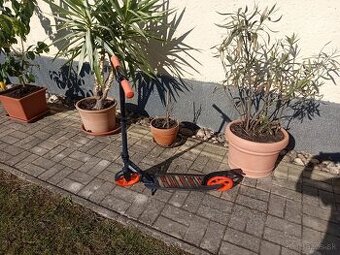 Kolobežka Oxelo MID 7