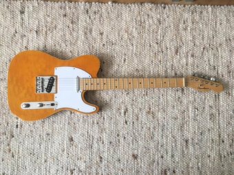 Predám gitaru Pasadena, model telecaster