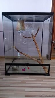 Terarium pre chameleona