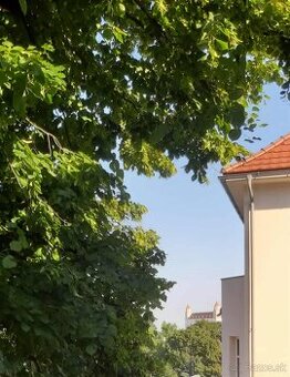Dlhodobý prenájom nadštandardného3-izb.byt v Starom meste