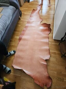 Hovädzia useň hladená.