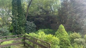 Chata s velkým pozemkom na predaj