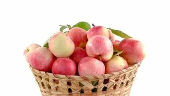 Strúhač,teplomer,nerezová váha a nová nelistovaná kniha