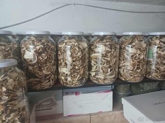 Sušené hríby dubáky