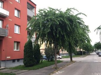 NA PRENÁJOM GARZÓNKA TRENČÍN, SIHOŤ