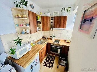 Na predaj 1 izbový byt s dvomi parkovacími miestami, Pieštan