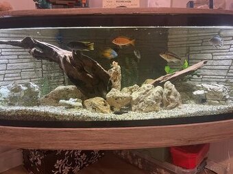 Veľké rohové akvárium