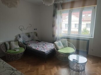 Jednoizbový byt - Palisády