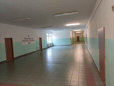 Maliarske prace-maliar,malovanie,striekanie airless