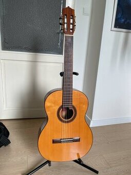 Klasická gitara 4/4 Martinez + obal