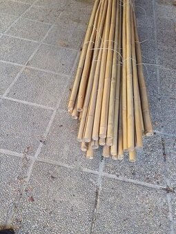 Bambusové palice