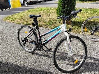 Damsky bicykel Stefi 1.0