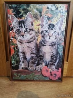 Puzzle mačky s rámom