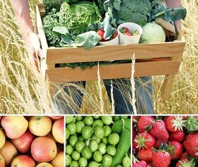 Farmy, zber ovocia a zeleniny - registrácia 2024 Rakúsko, - 1