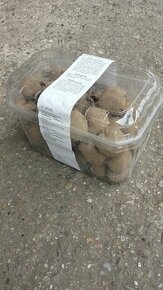 sadbové zemiaky