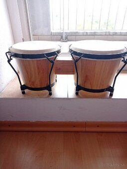 Bongo / Bonga