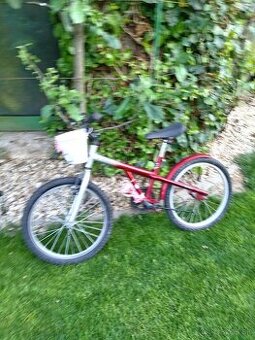 Detský bicykel 20