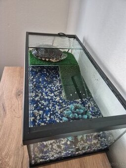 Korytnačka + akvarium