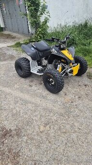 Can am DS 90 - 1