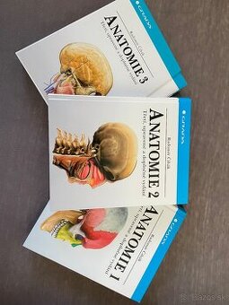 Anatómia čihák 1,2,3
