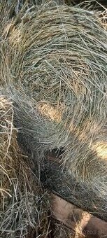 Lucerka