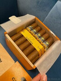 Kubánske cigary Cohiba Robustos