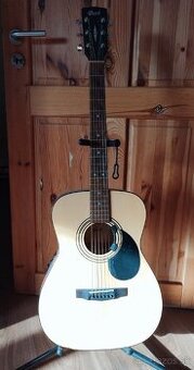 Cort AF510e