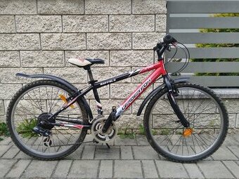 Detský bicykel Leader Fox 24