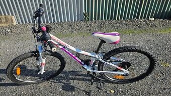 Kellys kiter 50