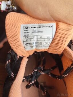 Alpine pro OLA2