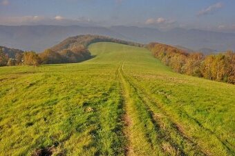 ZHÁŇAM POZEMOK I ORNÁ PÔDA I TRVALÝ TRÁVNATÝ PORAST