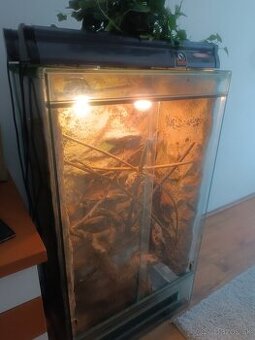 Terarium pre chameleóna