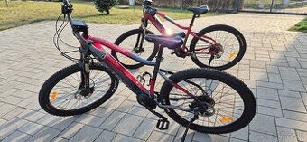 Ebike Lectron esconder - 1