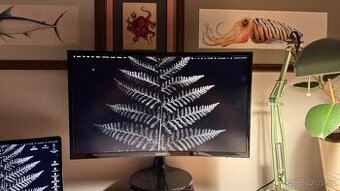 24" Samsung zakrivený monitor - 1