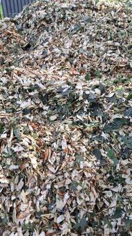 Predám drevnu štiepku