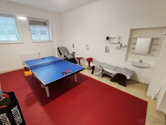 slnečný priestor na prenájom 26m2 - 1