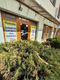 Prenájom obch. priestorov Hlohovec, ul. Hlohová