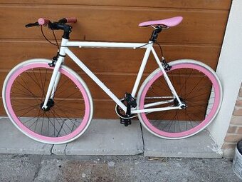 IMFixies - Single-Speed-Kamikaze