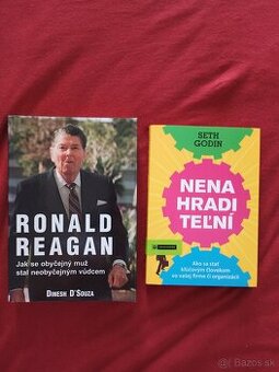 Ronald Reagan, Seth Godin