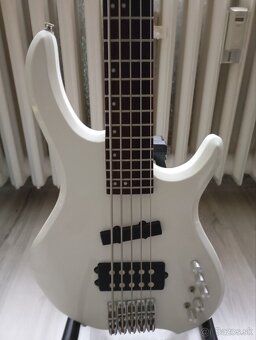 REZERVOVANÉ -5 strunová basgitara