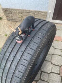 Letné 6mm Imperial 195/55 R16 91V