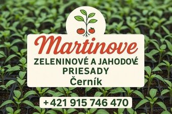 Planty ,priesady,paprika,rajčina,uhorky,cukety